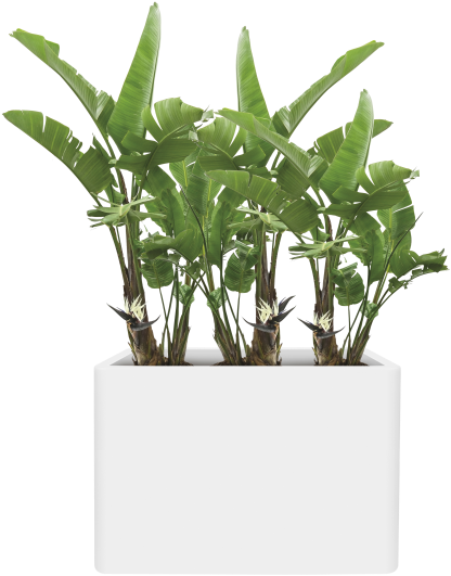 Home > Collection > Pure Soft Brick Divider - Elho Pure Cone High 55 Zwart Clipart (483x750), Png Download