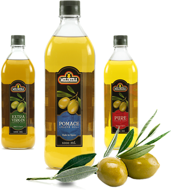 Molinera Mediterranean Olive Oil , Png Download - Olive Clipart (559x623), Png Download
