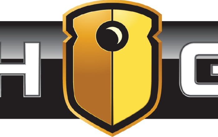 Wgv Logo Medium - Watchguard Video Logo Clipart (700x441), Png Download