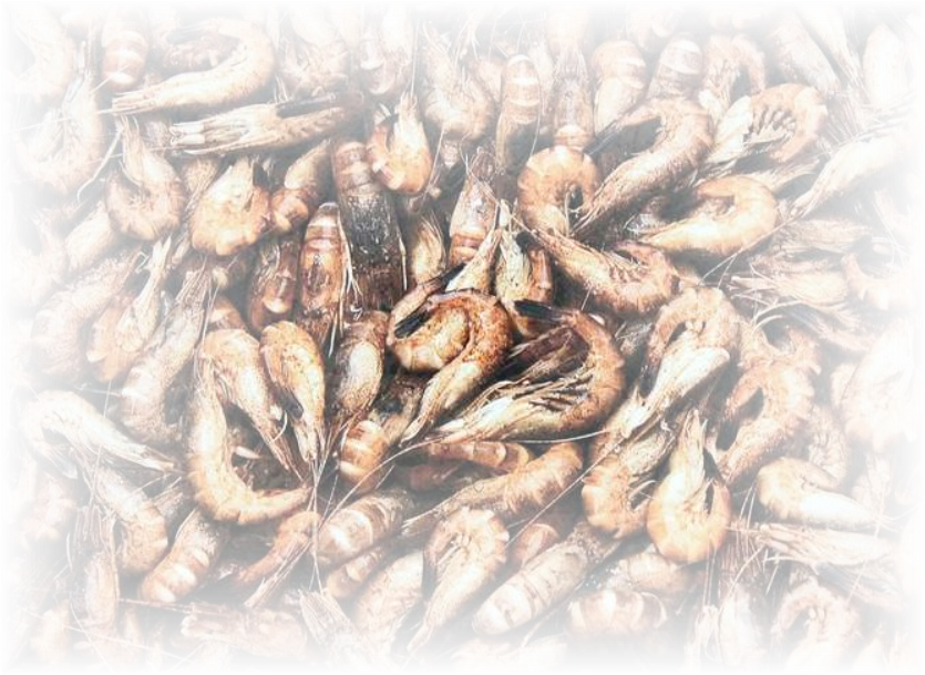 Mashed Potatoes - Fish Products Clipart (842x614), Png Download