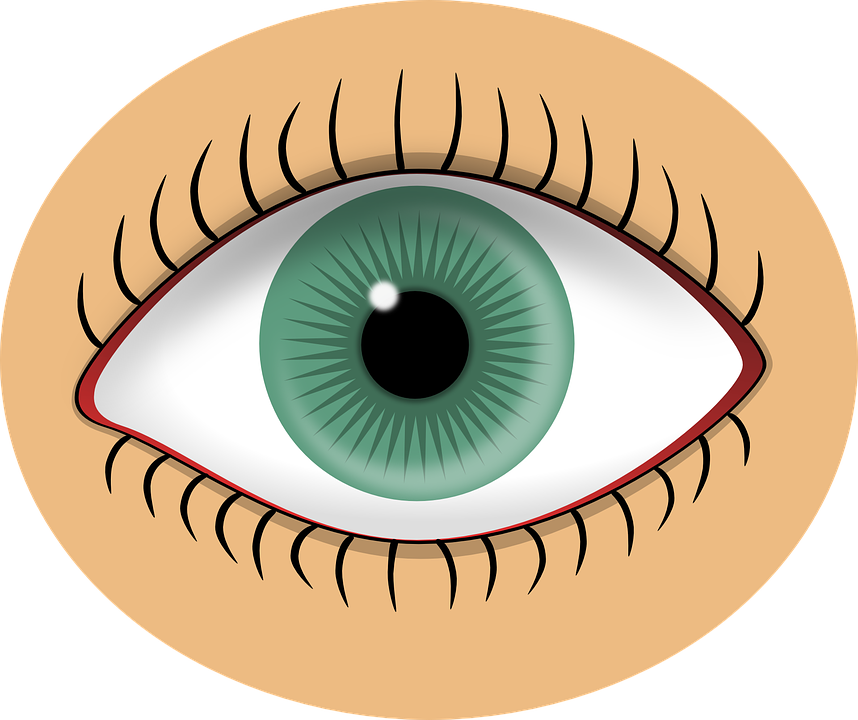 Eyeball Clipart Sight Senses - Eye Clipart - Png Download (858x720), Png Download