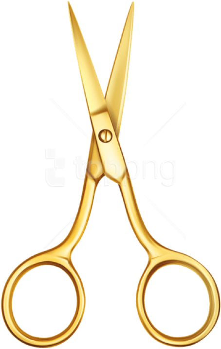 Scissors Clipart Png - Clipart Gold Hairdressing Scissors Transparent Png (480x737), Png Download