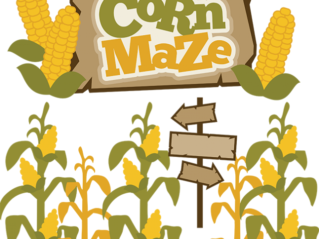 Stalk Clipart Png - Clip Art Corn Maze Transparent Png (640x480), Png Download