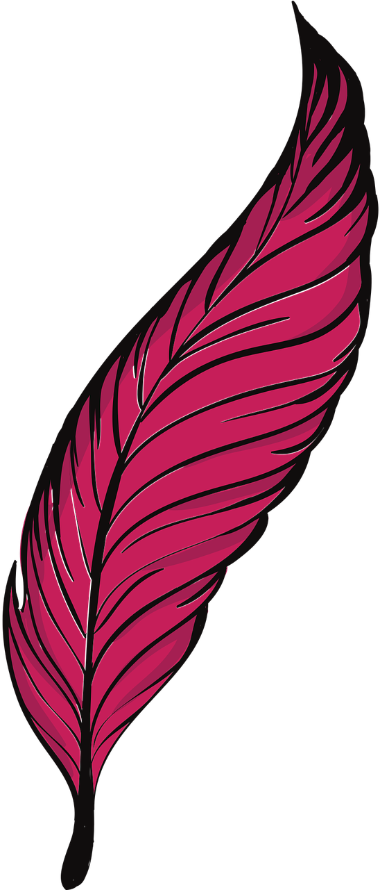 Pen Feathers Bird Animal Png Image - Plumas Png Clipart (640x1280), Png Download