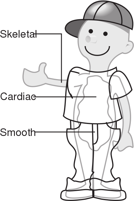 58294main The - Human Body Clipart (553x800), Png Download
