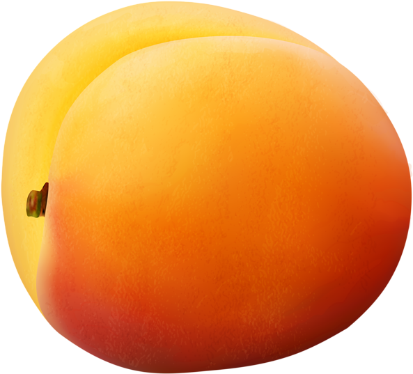 Apricot Transparent Png Image - Sphere Clipart (600x544), Png Download