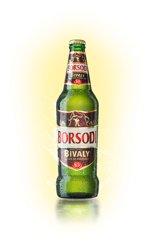 Beer Bottle , Png Download - Beer Bottle Clipart (540x788), Png Download