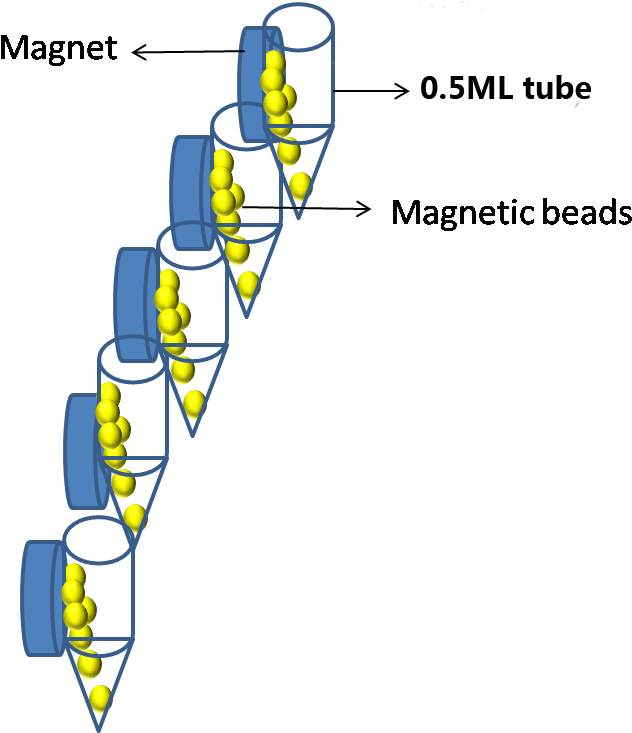 Magnetic Separator Clipart (767x733), Png Download