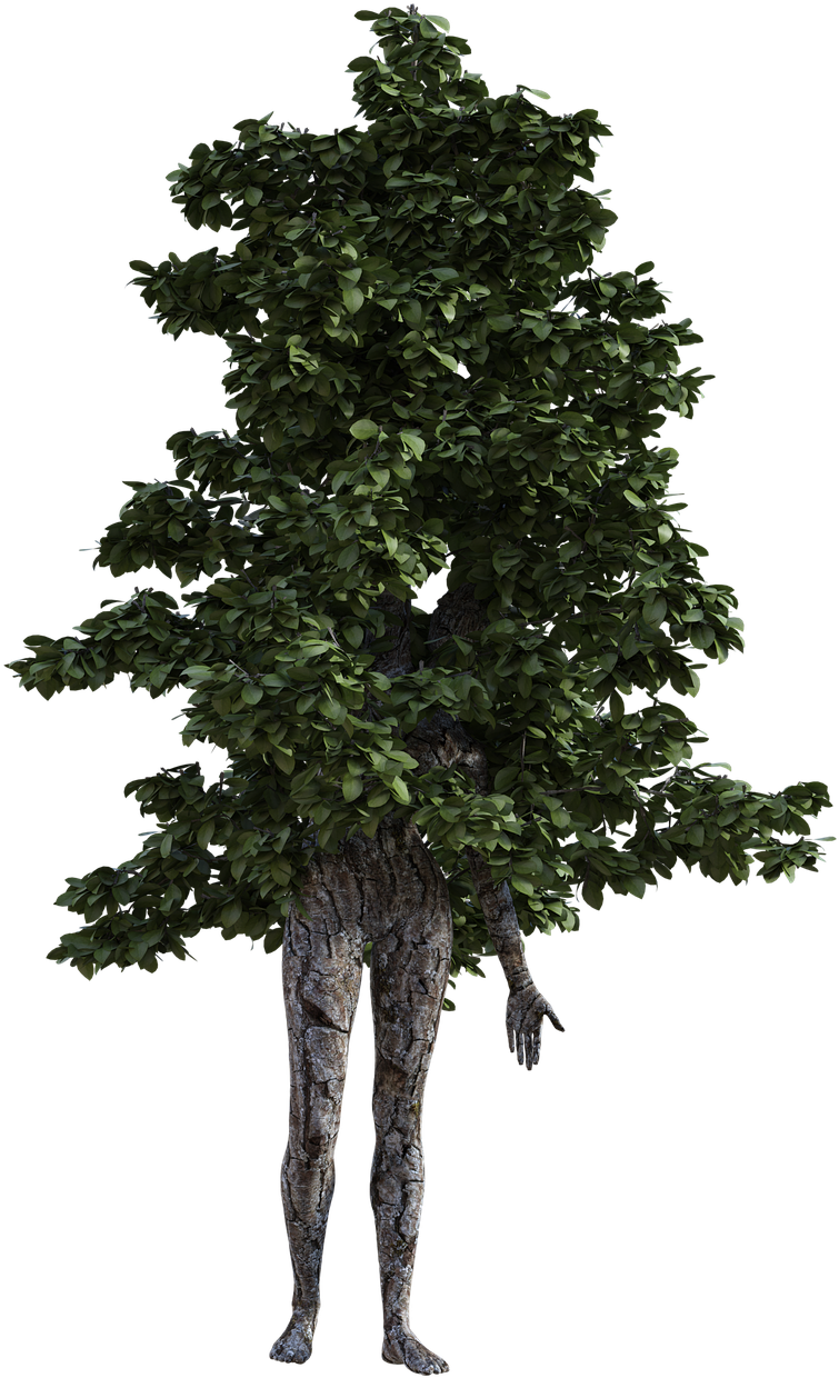 Woman Tree Figure Fantasy Human Png Image - Arbol Humano Clipart (822x1280), Png Download