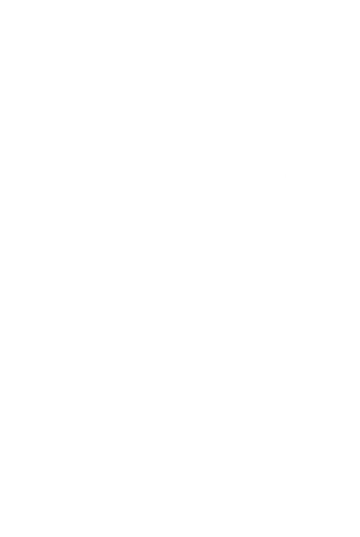 Snowflakes Png - White Snowflakes Png Transparent Clipart (728x1086), Png Download