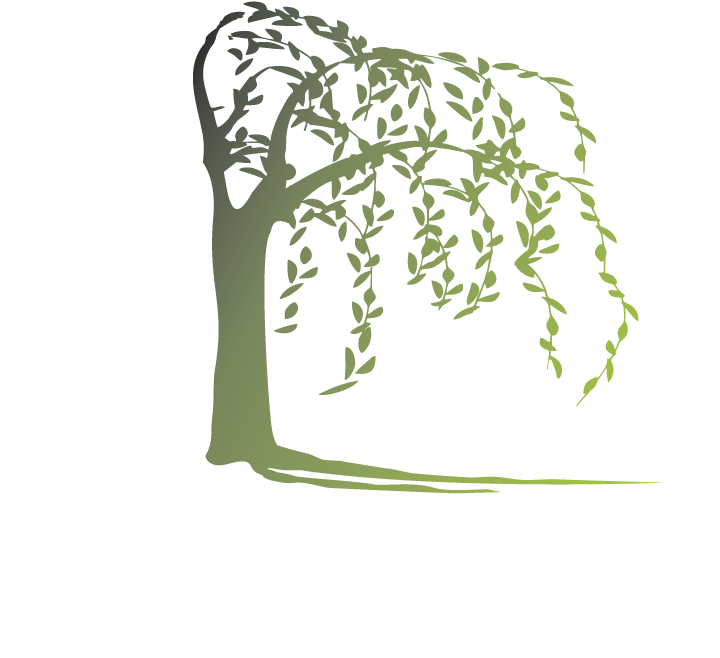 Willow And Co - Calligraphy Clipart (721x691), Png Download