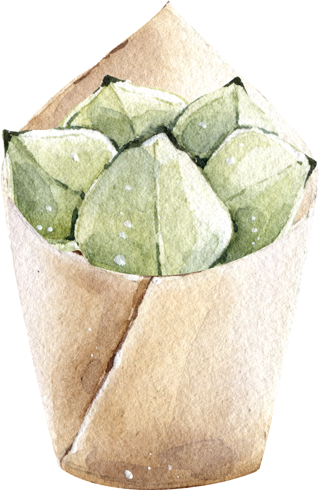 Green Watercolor Hand Painted Potted Plants Transparent - Houseplant Clipart (1024x1573), Png Download