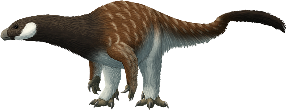 1000 X 400 5 0 - Pantydraco Dinosaur Clipart (1000x400), Png Download