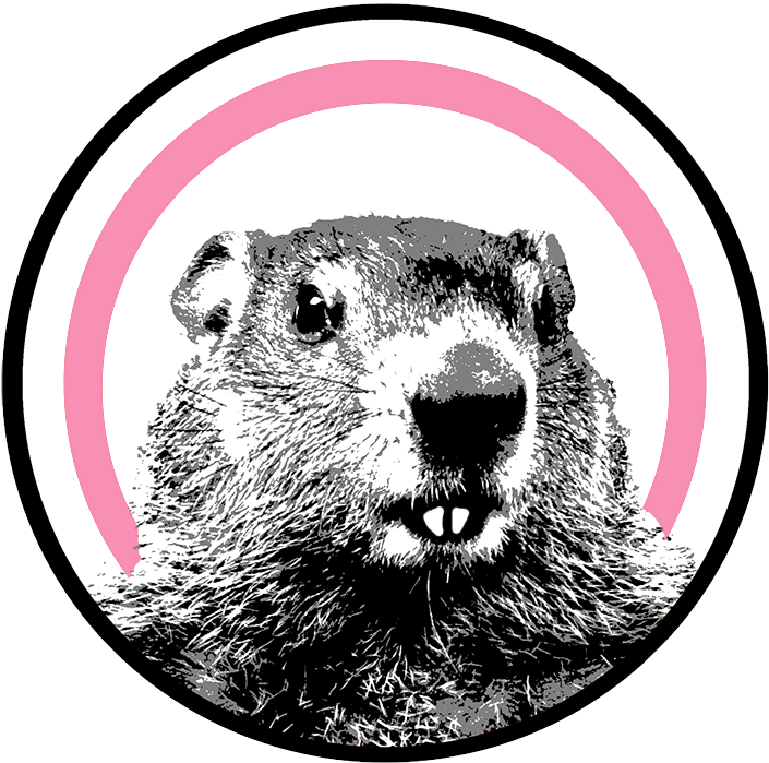 The Groundhog Unveils New Platform For Women - Punxsutawney Phil Clipart (800x800), Png Download