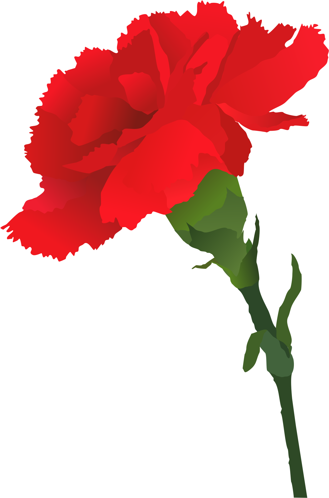 Rose Vector Clipart - Clip Art - Png Download (1284x1943), Png Download