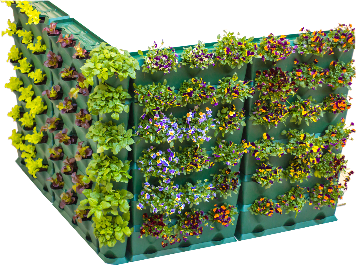 Vertical Garden Png - Mini Garden Vertical Clipart (1200x900), Png Download