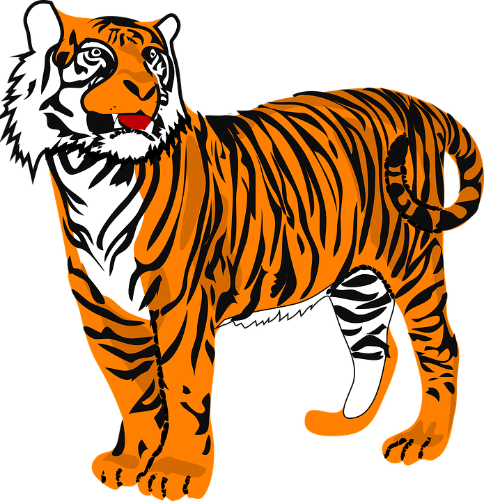 Tiger Cat Animal - Tiger Clipart - Png Download (695x720), Png Download