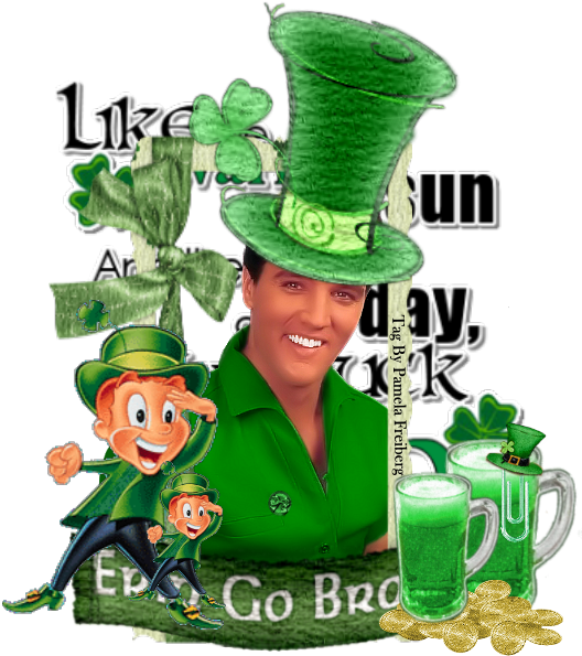 Go Elvis Go Photo Goelvisgo - Lucky Charms Guy Clipart (528x595), Png Download