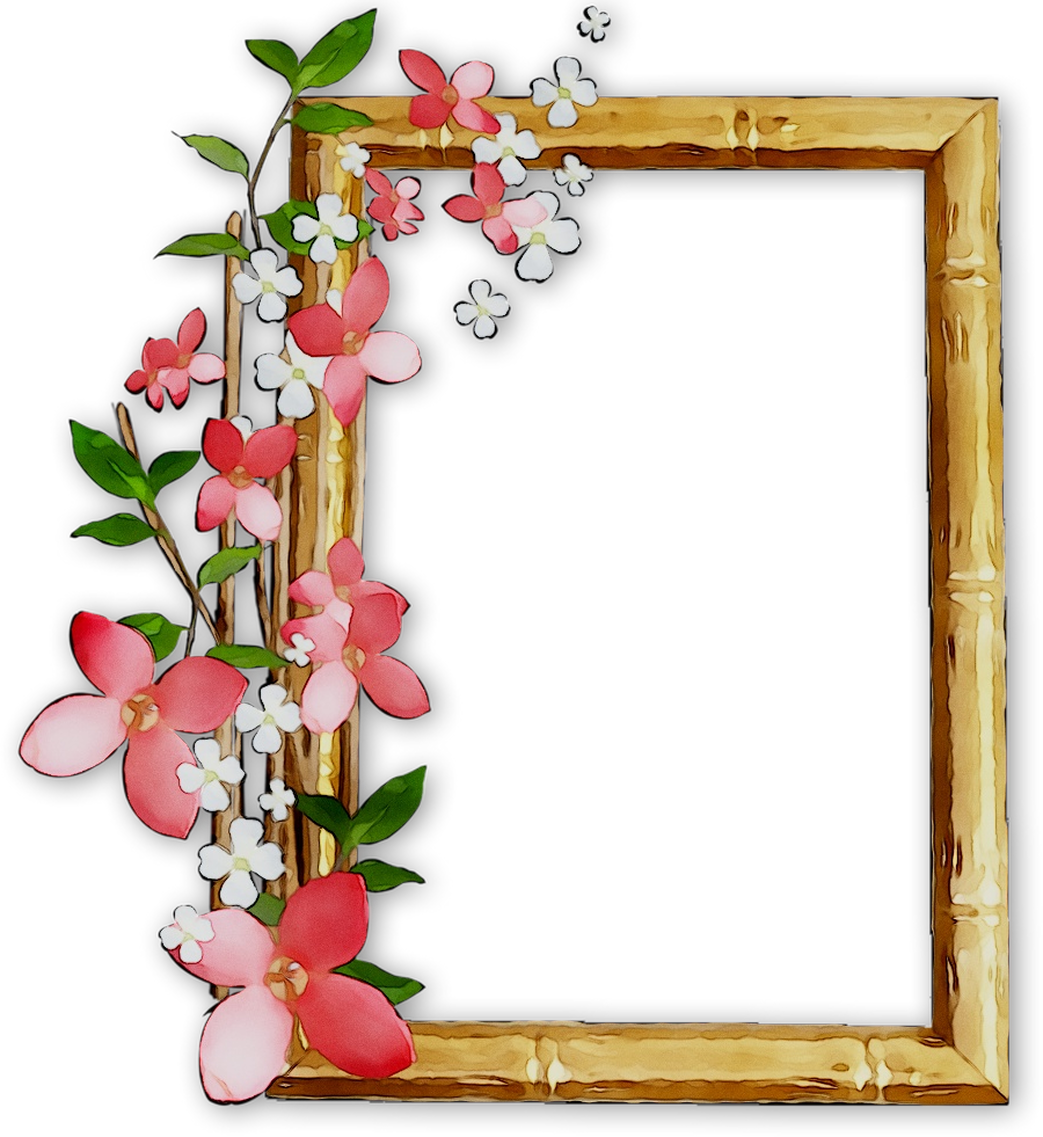 Picture Frames College Mirror Floral Design Clipart Picture Frame Png Download Large Size Png Image Pikpng