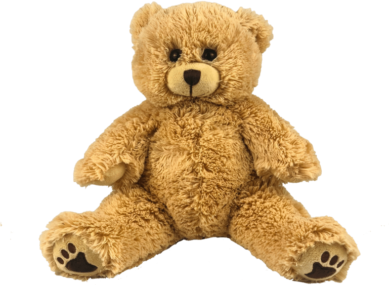 Teddy Bear Clipart (768x770), Png Download