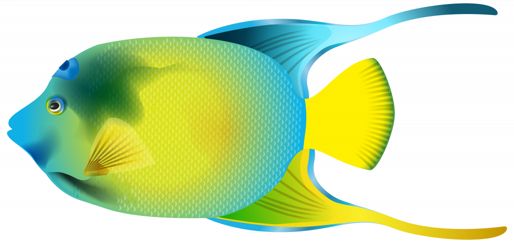 Gallery Image Of Confidential Fish Clip Art For Kids - Angel Fish Png Transparent Png (1024x485), Png Download