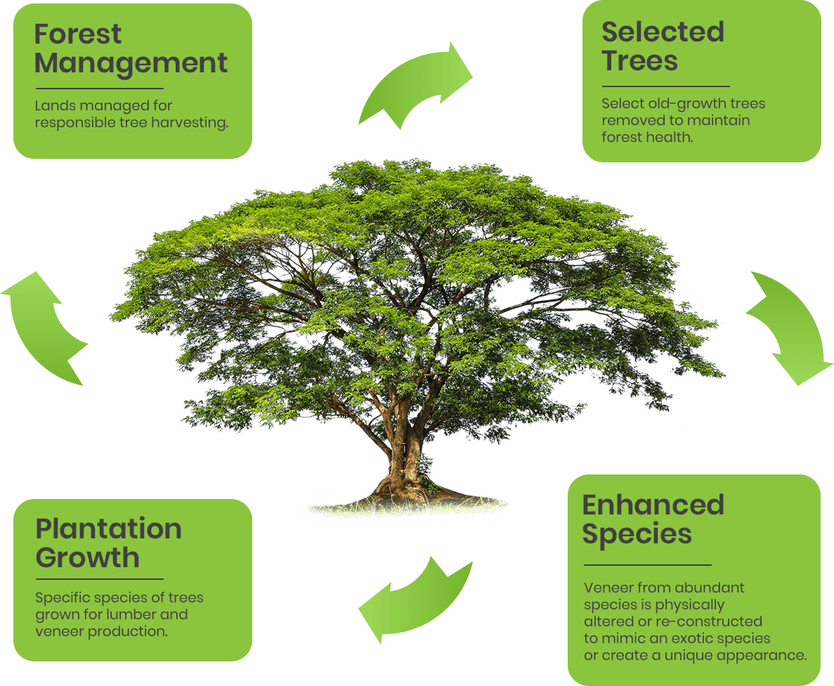 Philosophy Clipart (1187x976), Png Download