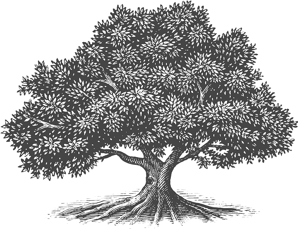 Arboles Hechos A Mano Dibujos Clipart (1400x1120), Png Download