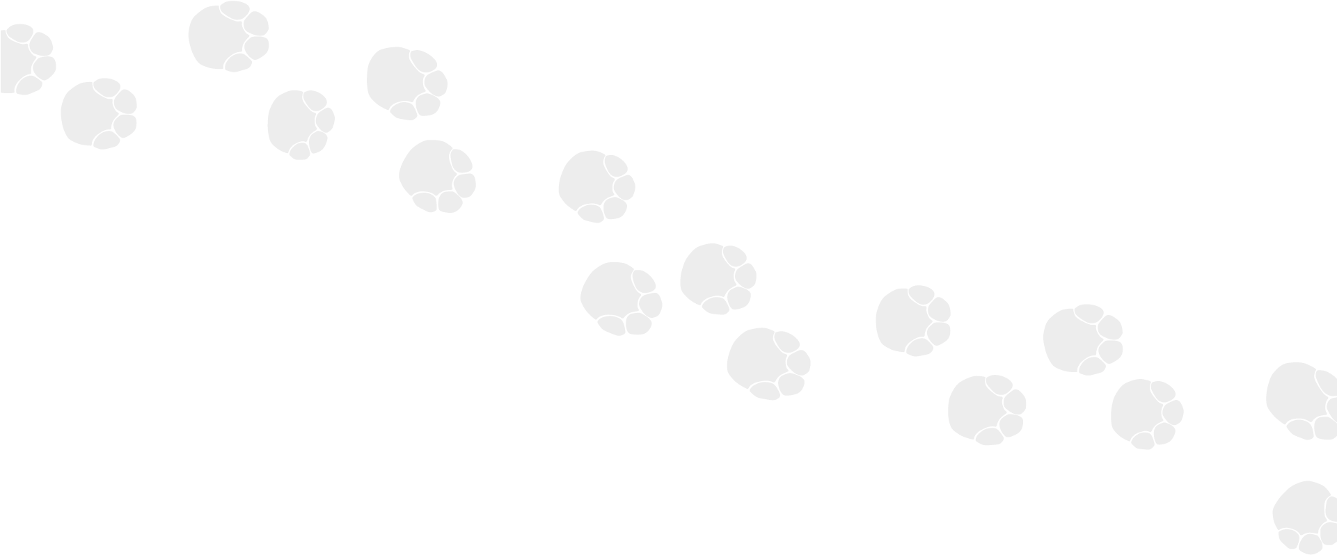 Elephant Footprints - Circle Clipart (1920x1024), Png Download