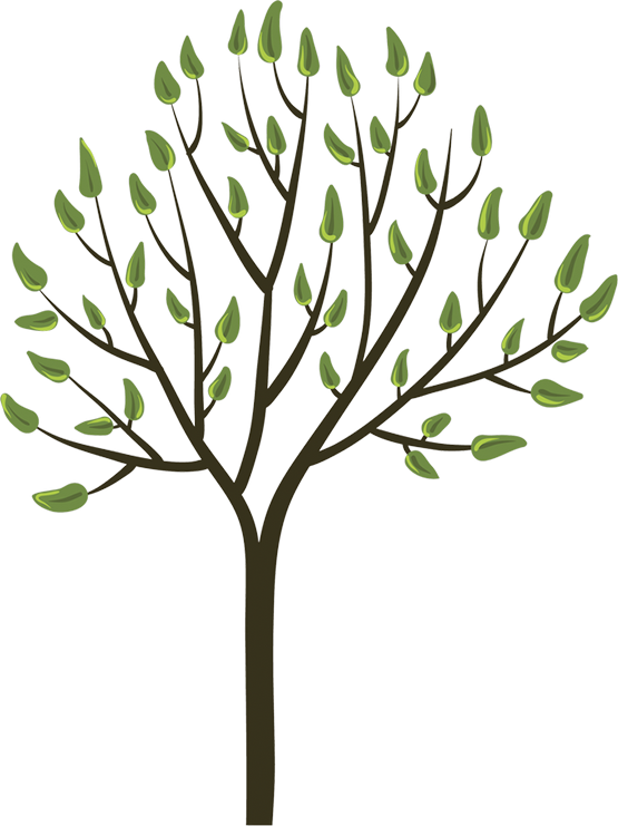 Garden Clipart Flower Bed - Clothes Swap Flyer - Png Download (555x741), Png Download