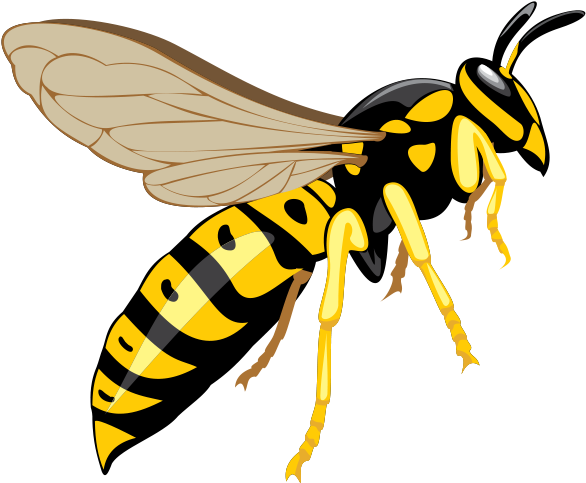 Wasp Png - Wasp Clipart (913x642), Png Download