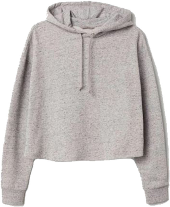 #hoodie #sweatshirt #clothes #clothing #niche #nichememes - Sweatshirt Clipart (1024x1024), Png Download