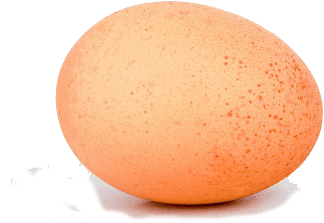 Egg, Chicken Egg - Oval Clipart (850x673), Png Download