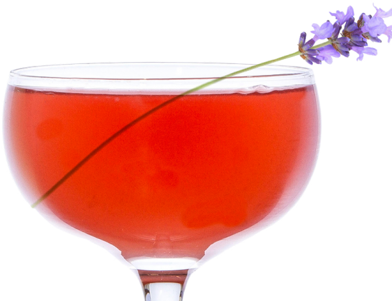 In The Garden - Wine Glass Clipart (657x475), Png Download