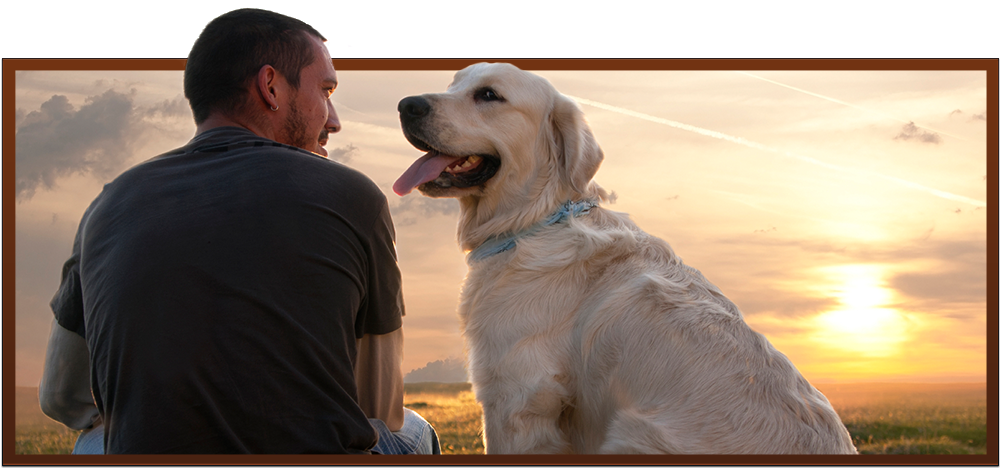 Dogs Called Man's Best Friend Clipart (1001x490), Png Download