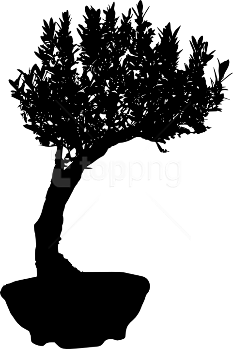 Free Png Bonsai Silhouette Png - Christmas Tree Clipart (481x720), Png Download