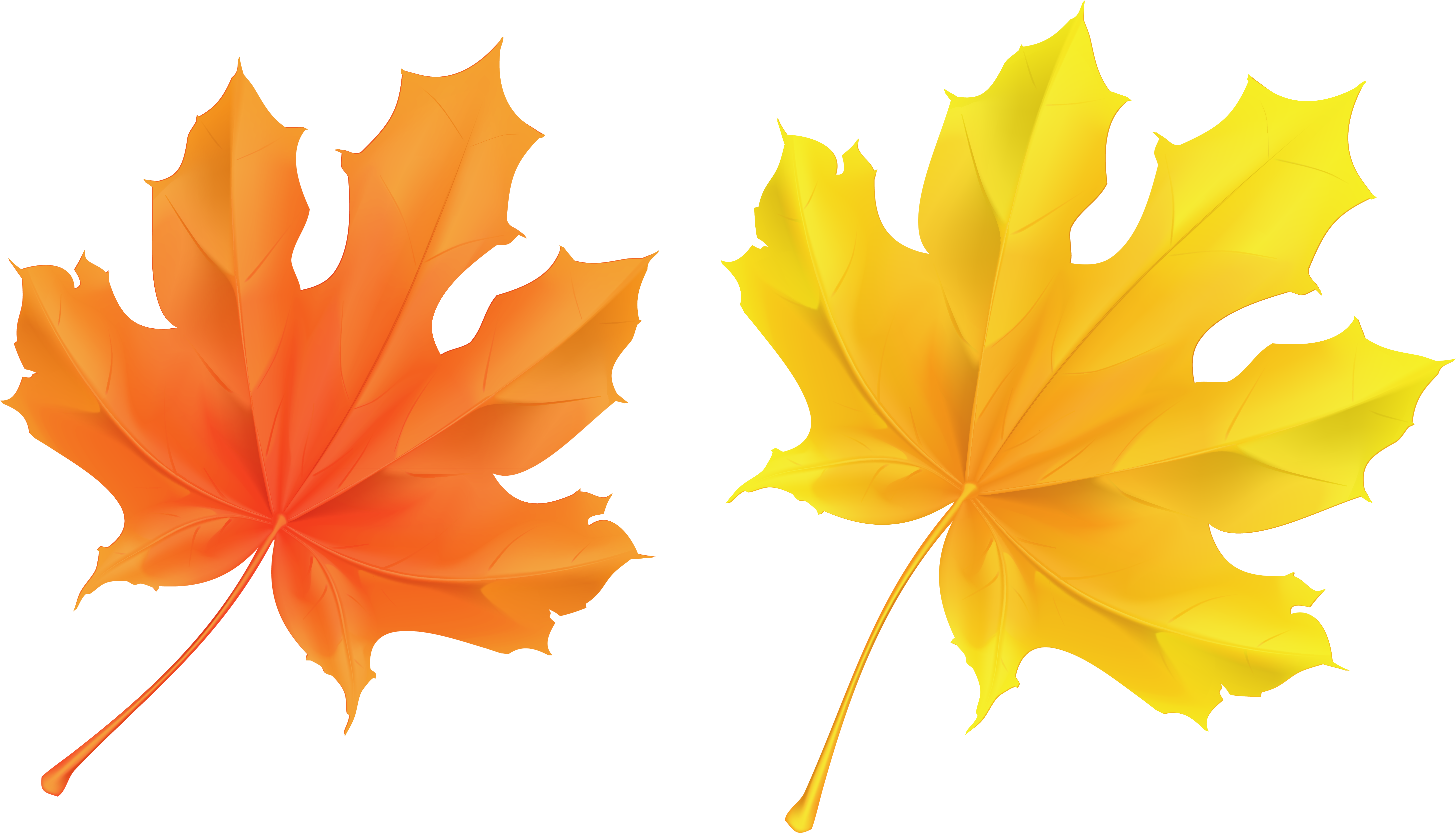 Fall Leaf Clipart No Background - Orange Leaves - Png Download (5946x3374), Png Download