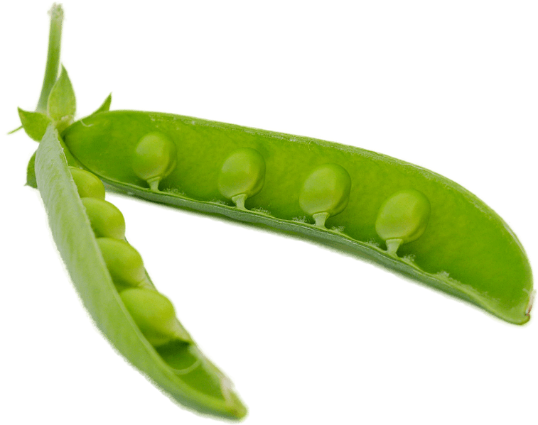 Vegetables - Chicharos Png Clipart (1280x854), Png Download