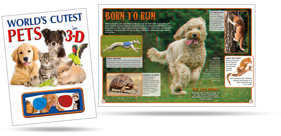 Dog Catches Something Clipart (989x458), Png Download