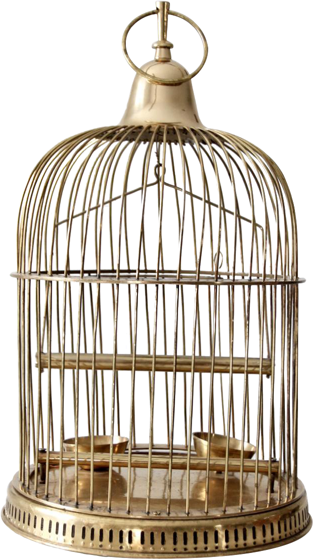 Vintage Bird Cage Png - Value On Vintage Brass Bird Cage Clipart (692x1236), Png Download