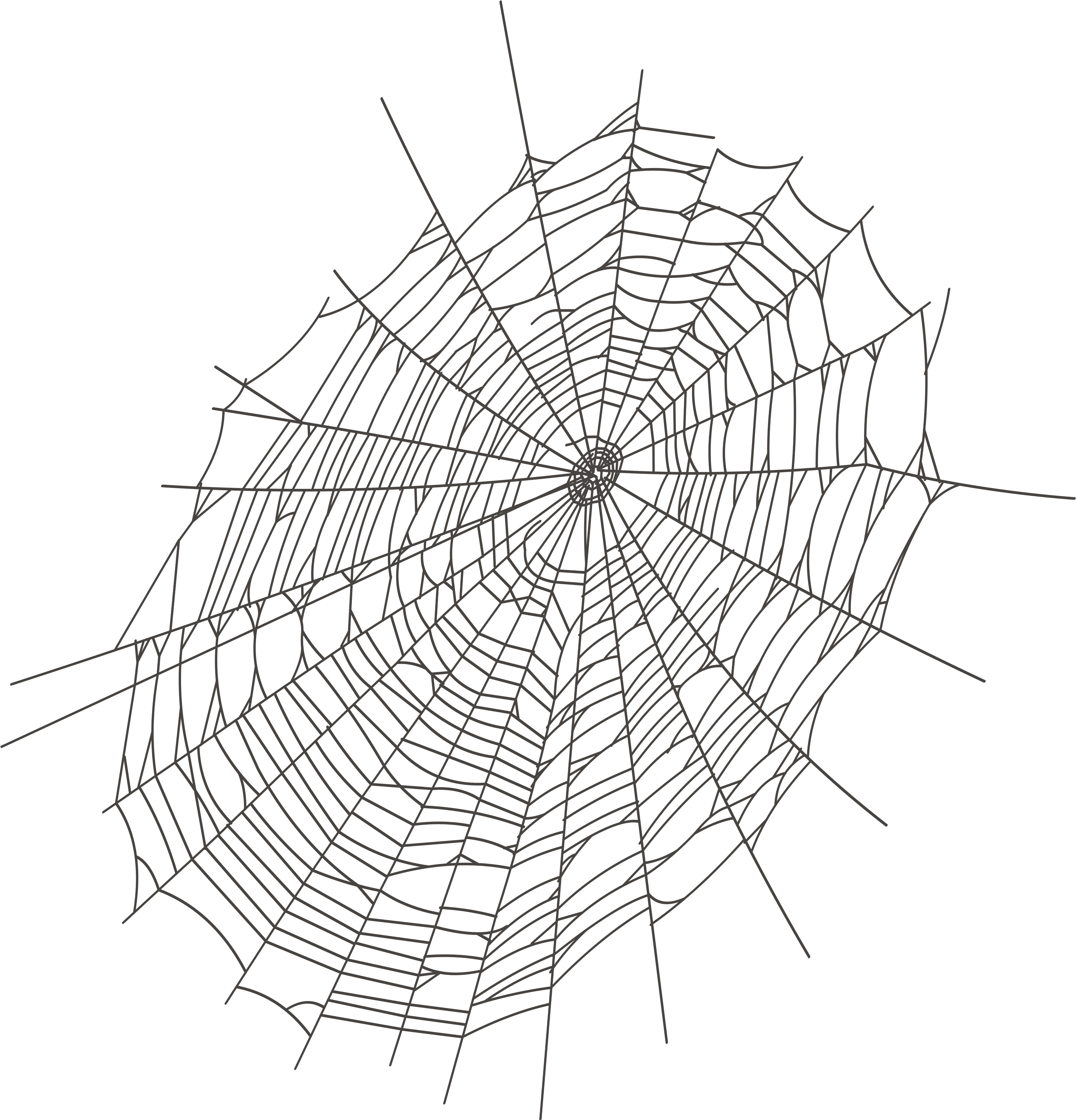 Inspirational Of White Spider Web Letters Format Ⓒ - Spider Webs Transparen...