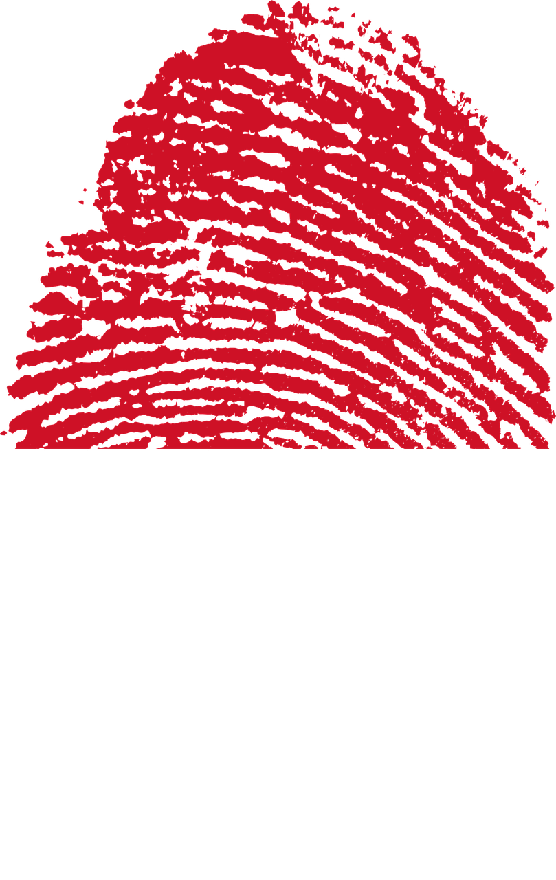 Indonesia Flag Fingerprint Png Image - Indonesia Flag Fingerprint Clipart (809x1280), Png Download