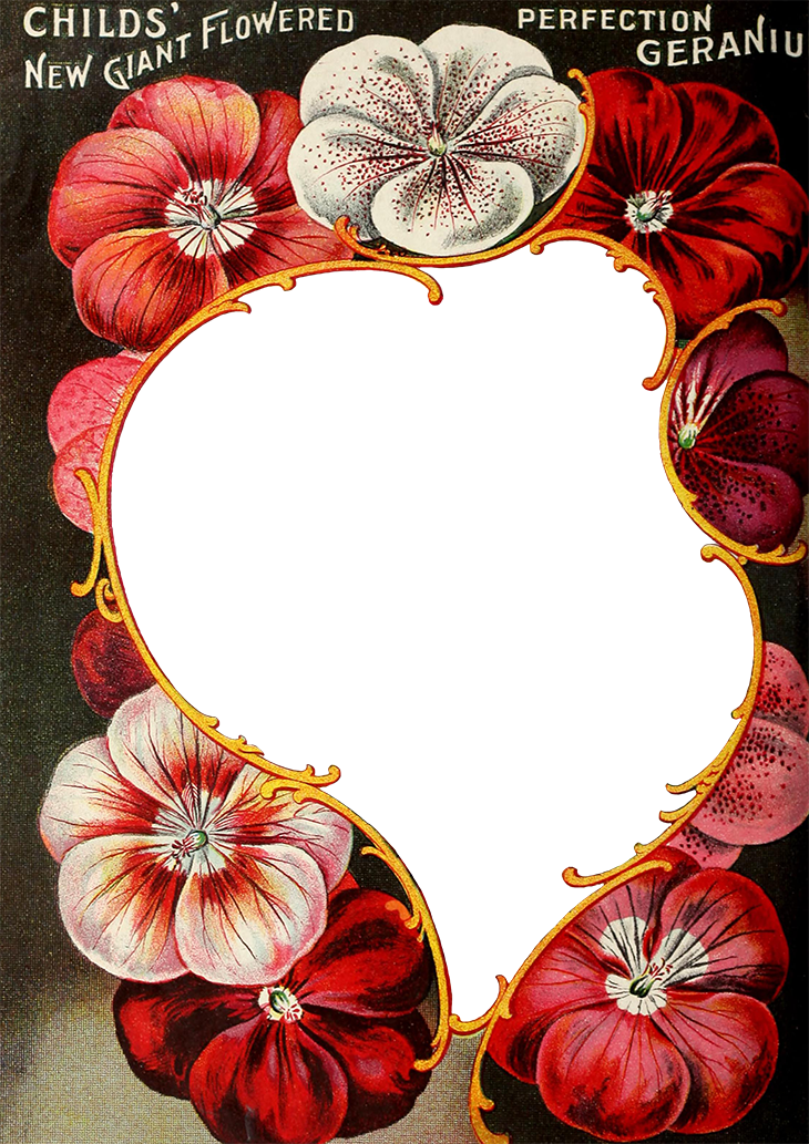 Wings Of Whimsy - Floral Design Clipart (730x1033), Png Download