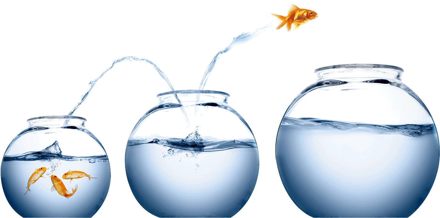 It's Easy To Treat Wealth A Bit Like Being A Koi In - Fish Jumping From One Bowl To Another Clipart (1500x914), Png Download