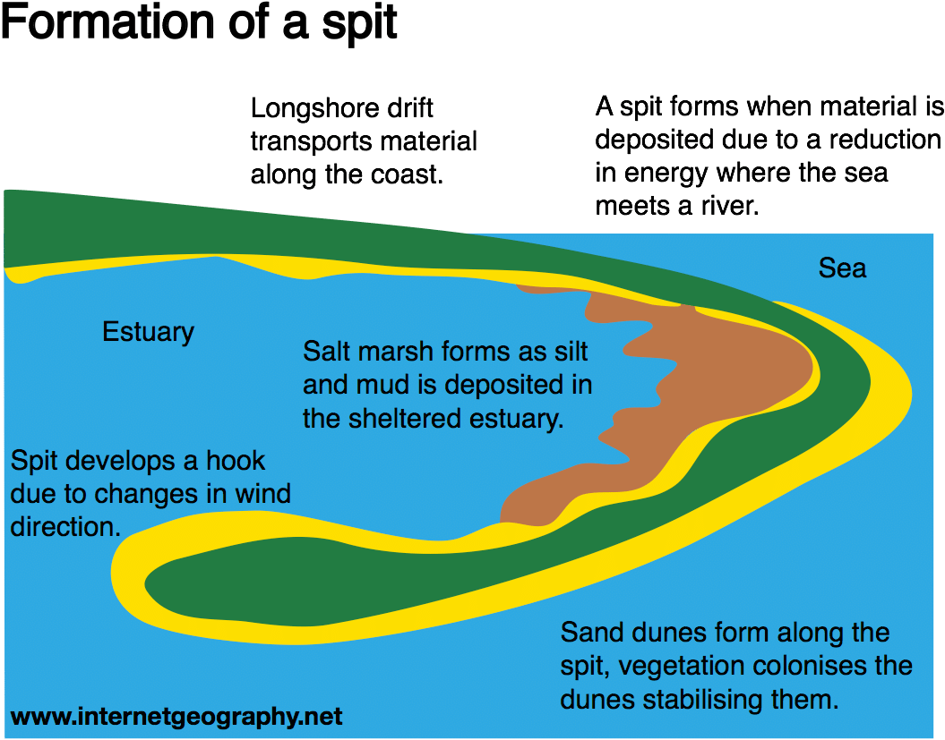 Landforms Of Coastal Deposition Internet Geographythe - Graphic Design ...