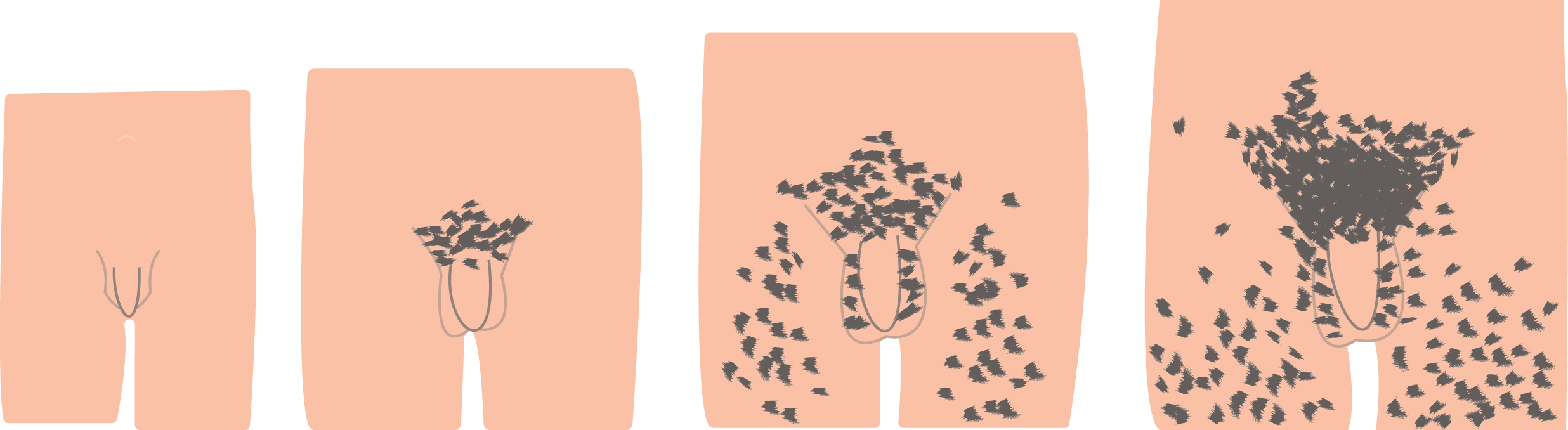 View large size Hair Png For Free Download On - Male Pubic Hair Growth Clip...