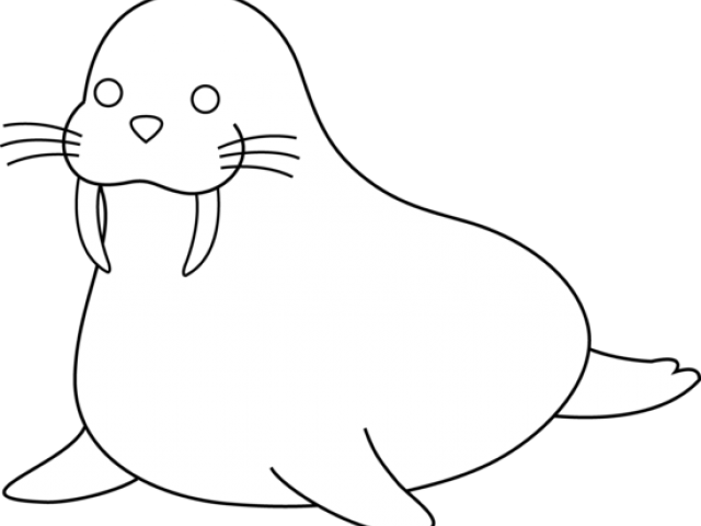 Antarctica Drawing Walrus - California Sea Lion Clipart (640x480), Png Download