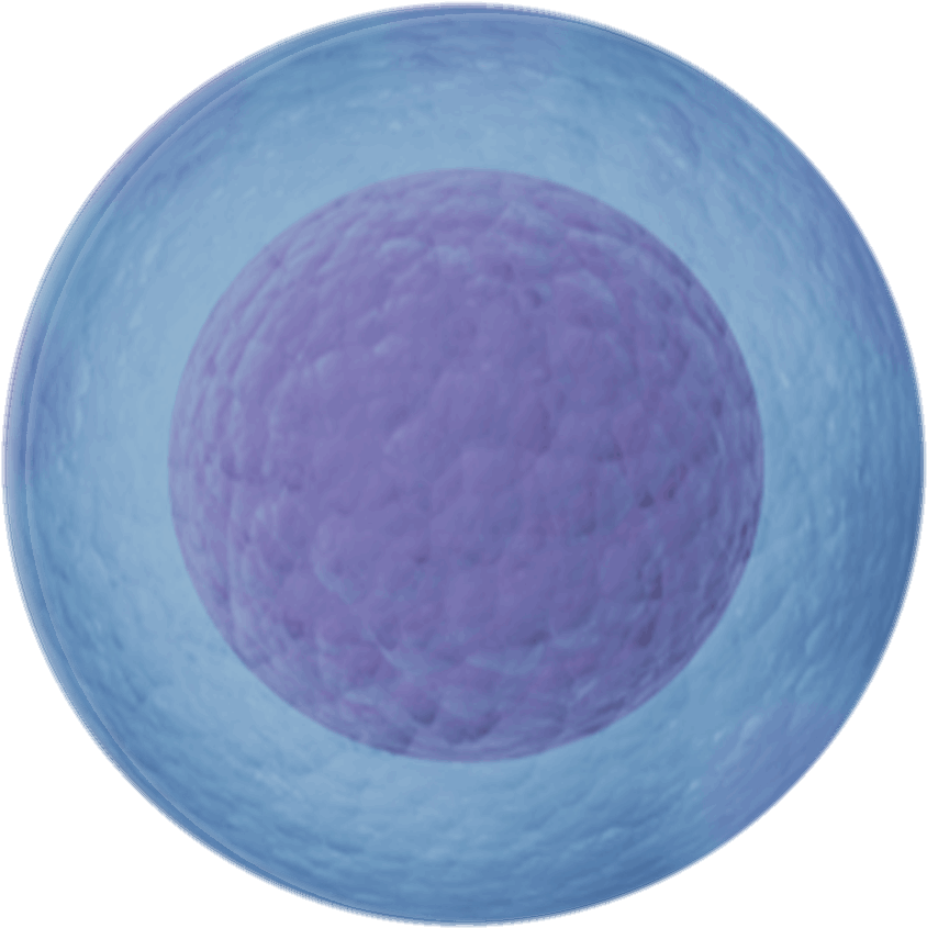 Connecting People To Improve Lives - Circle Clipart (1900x1100), Png Download