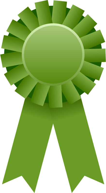 Award Transparent Ribbon Clipart - Green Award Ribbon Clipart - Png Download (438x800), Png Download