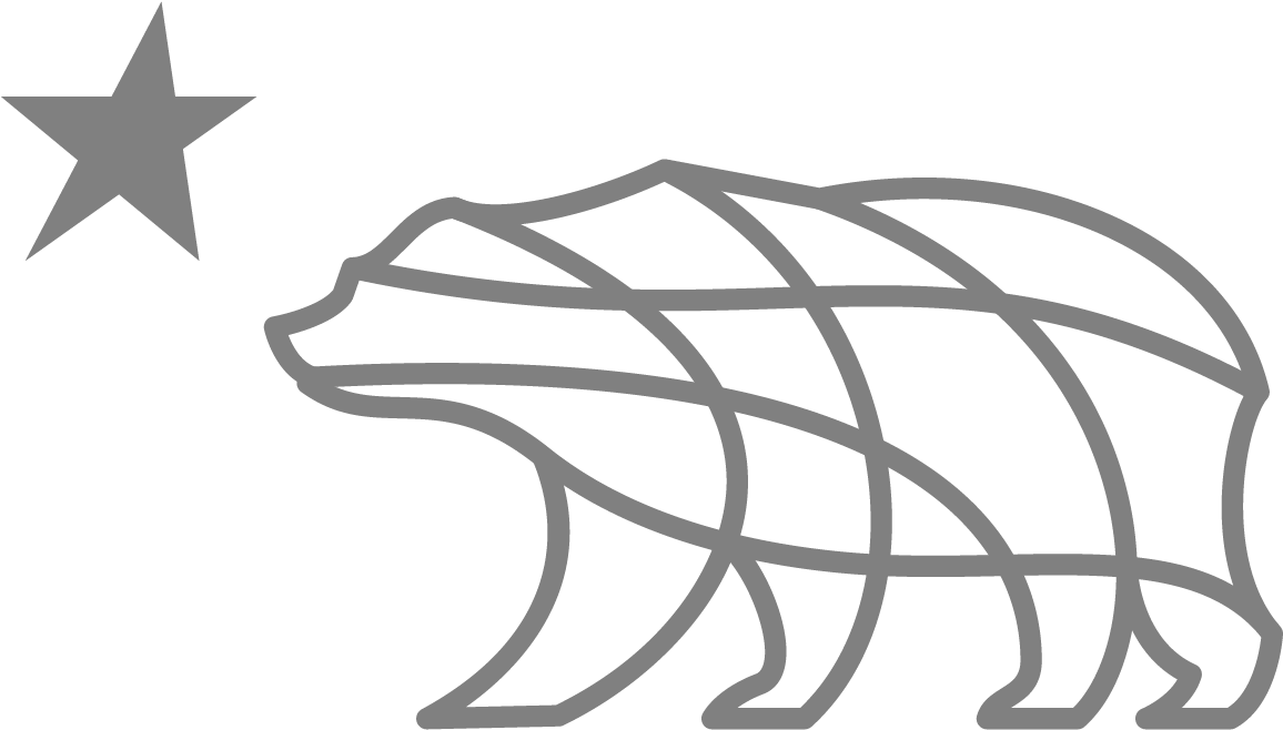 Bear & Star Studies - Sketch Clipart (1273x1273), Png Download