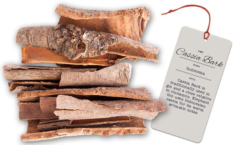 Buchu - Chocolate Clipart (855x500), Png Download